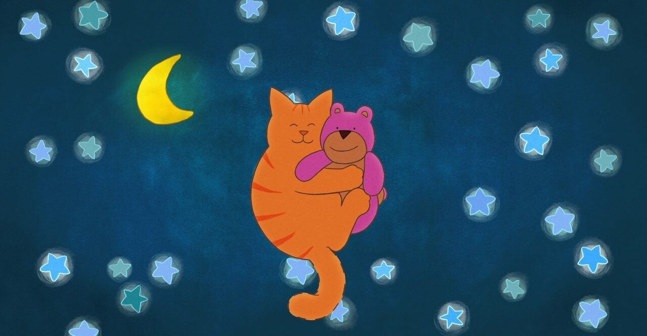 Tom le chat - À la recherche du doudou perdu