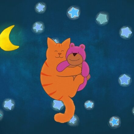 Tom le chat - À la recherche du doudou perdu