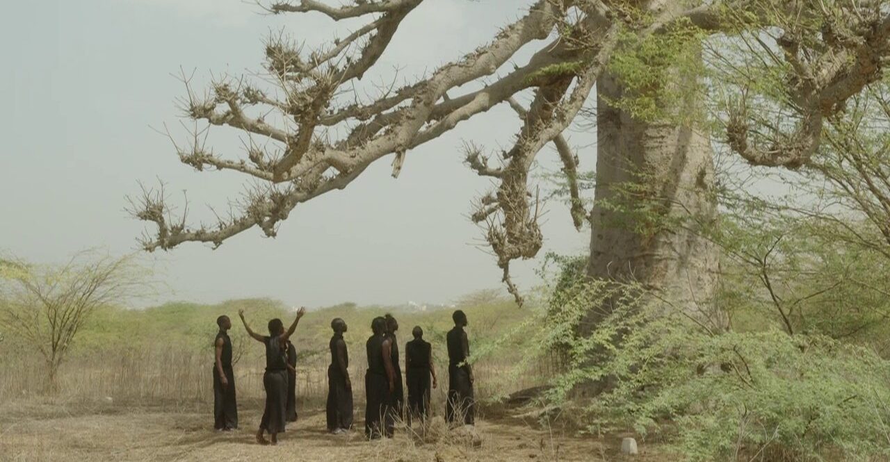 Germaine Acogny, l'essence de la danse
