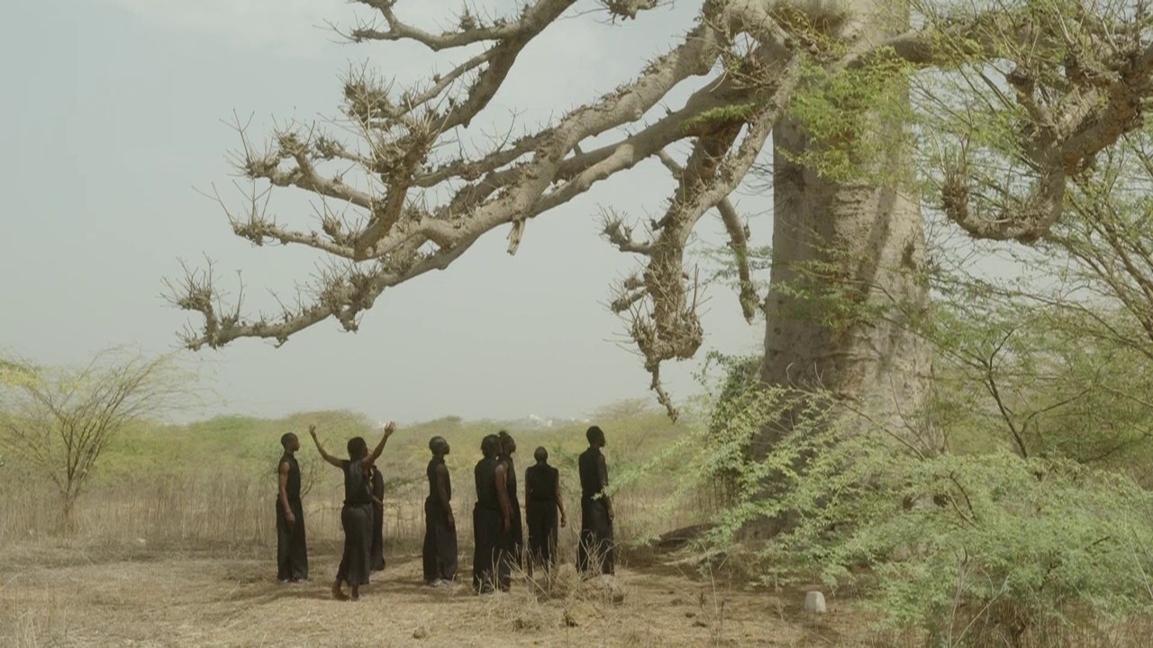 Germaine Acogny, l'essence de la danse