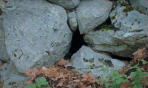 Atelier vacances |Filmer l’invisible