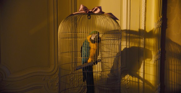 image de l'oeuvre John et la République, Mémoires d'un perroquet de Charlotte Pouyaud